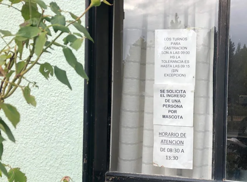 WhatsApp Image 2026-03-13 at 13.29.35