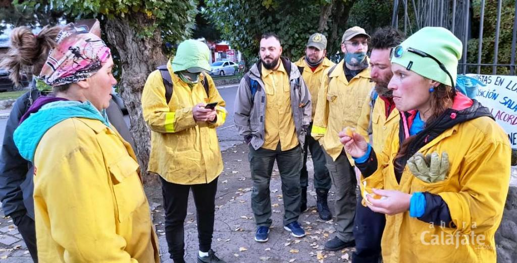 brigadistas [AUDIO FMD]