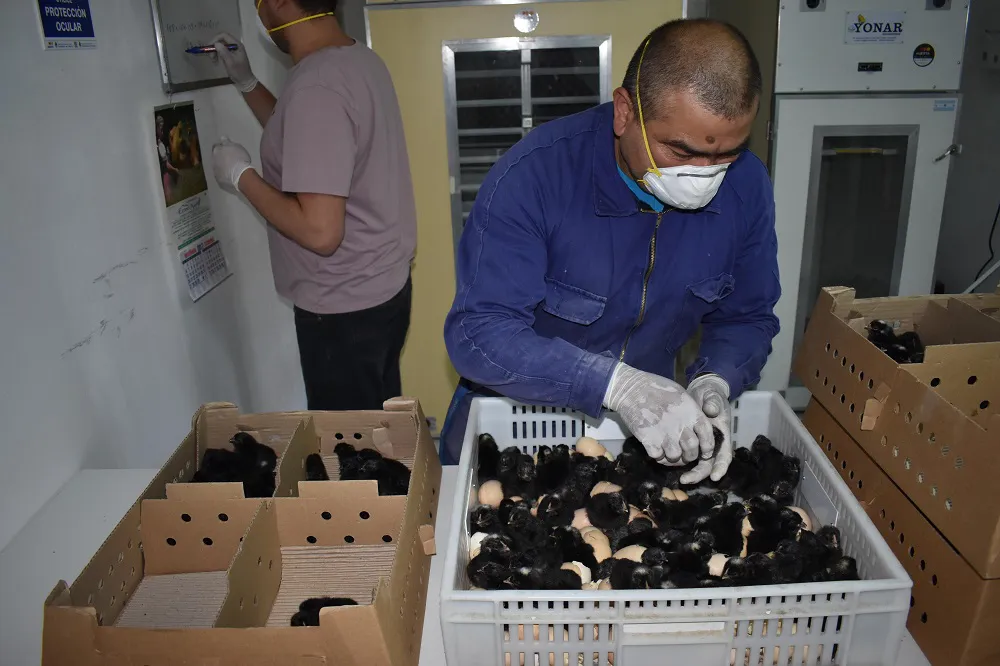 nacimiento tecnico haro