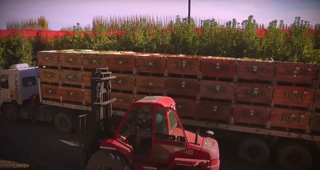 Captura de pantalla 2025-01-27 205859