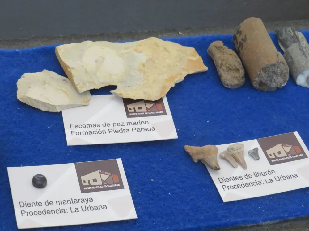 491779477_1064216802408017_8417257502129530764_n