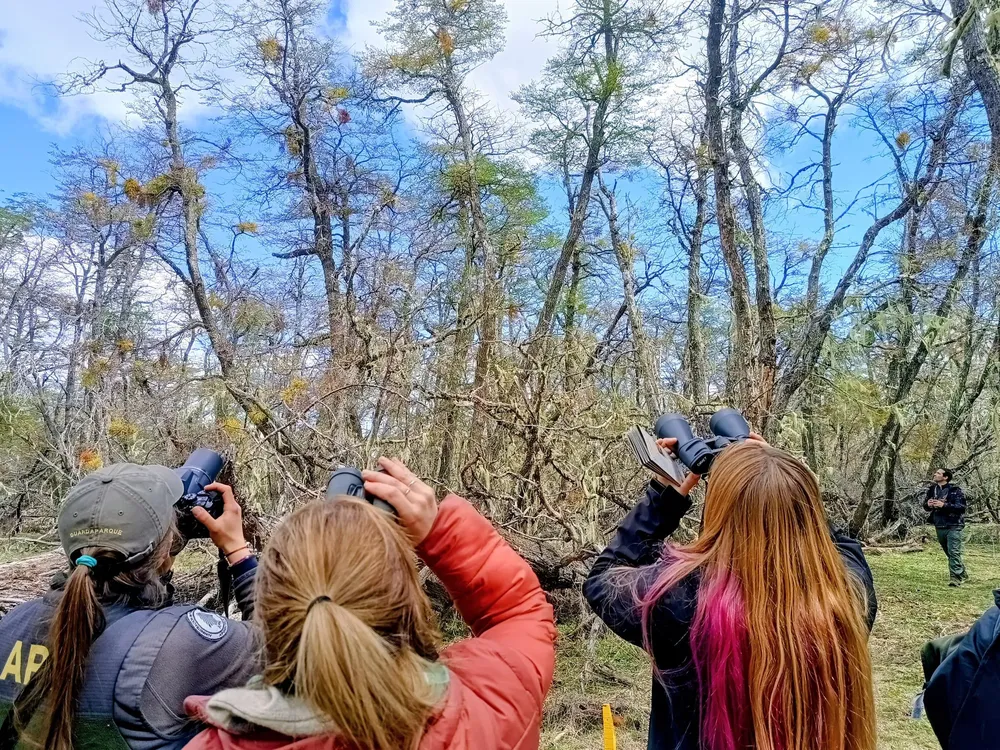 559625340_817130630686356_8435191572706469525_n