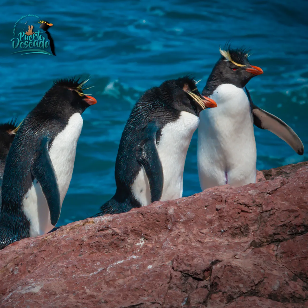 491416130_18390308596115664_505786948237887671_n