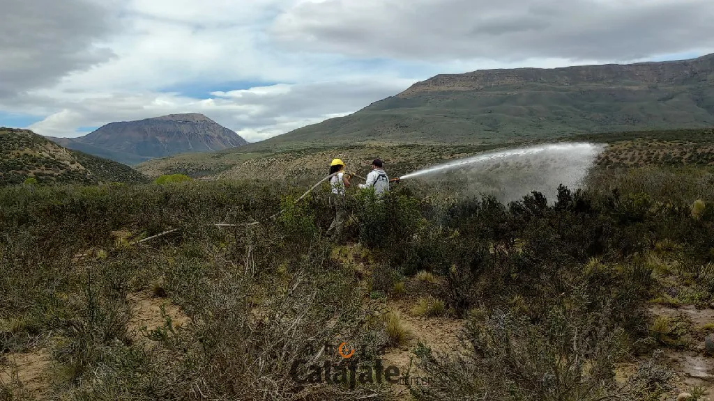 IMG-20241125-WA0086~1