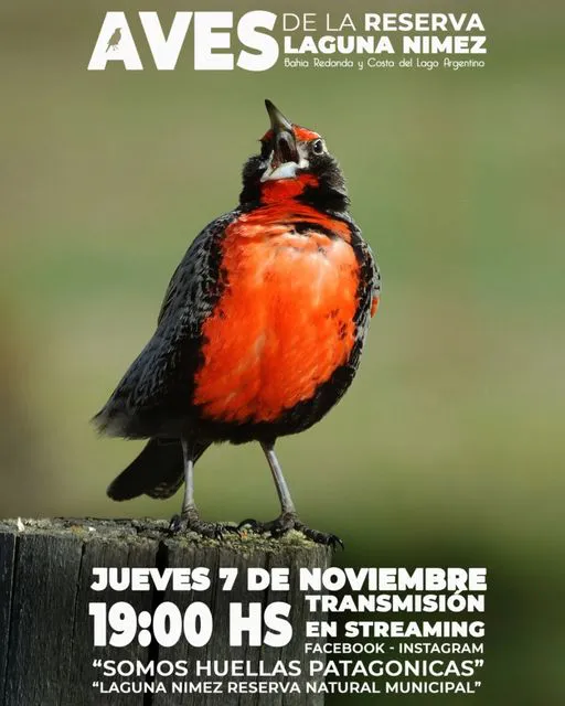 465664583_17962033307818788_7776557675289521485_n