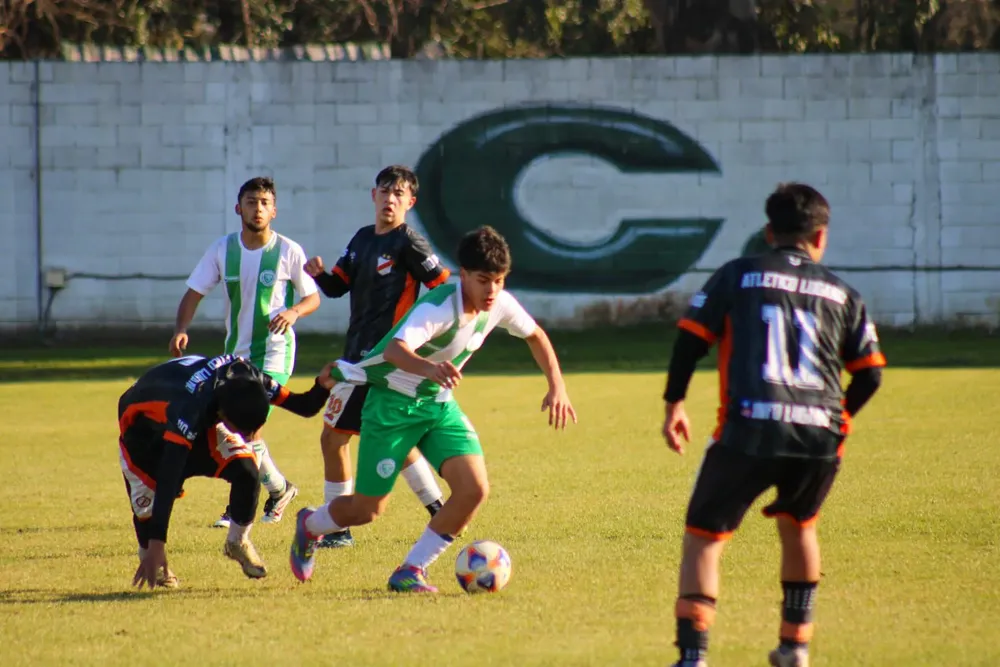 Imagen de WhatsApp 2025-08-17 a las 14.39.02_1a1f89d6