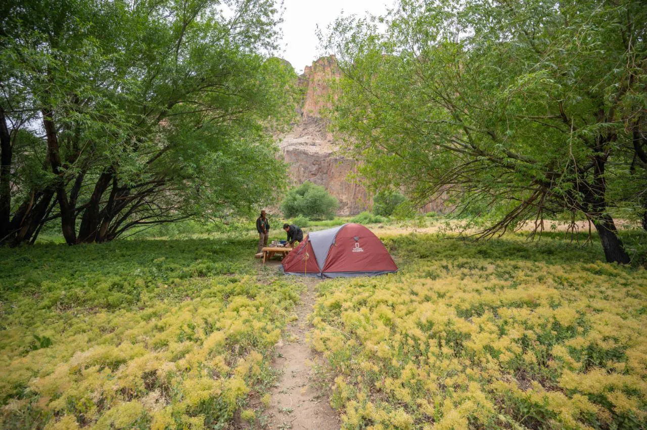 WhatsApp Image 2025-11-28 at 17.00.15 (3)