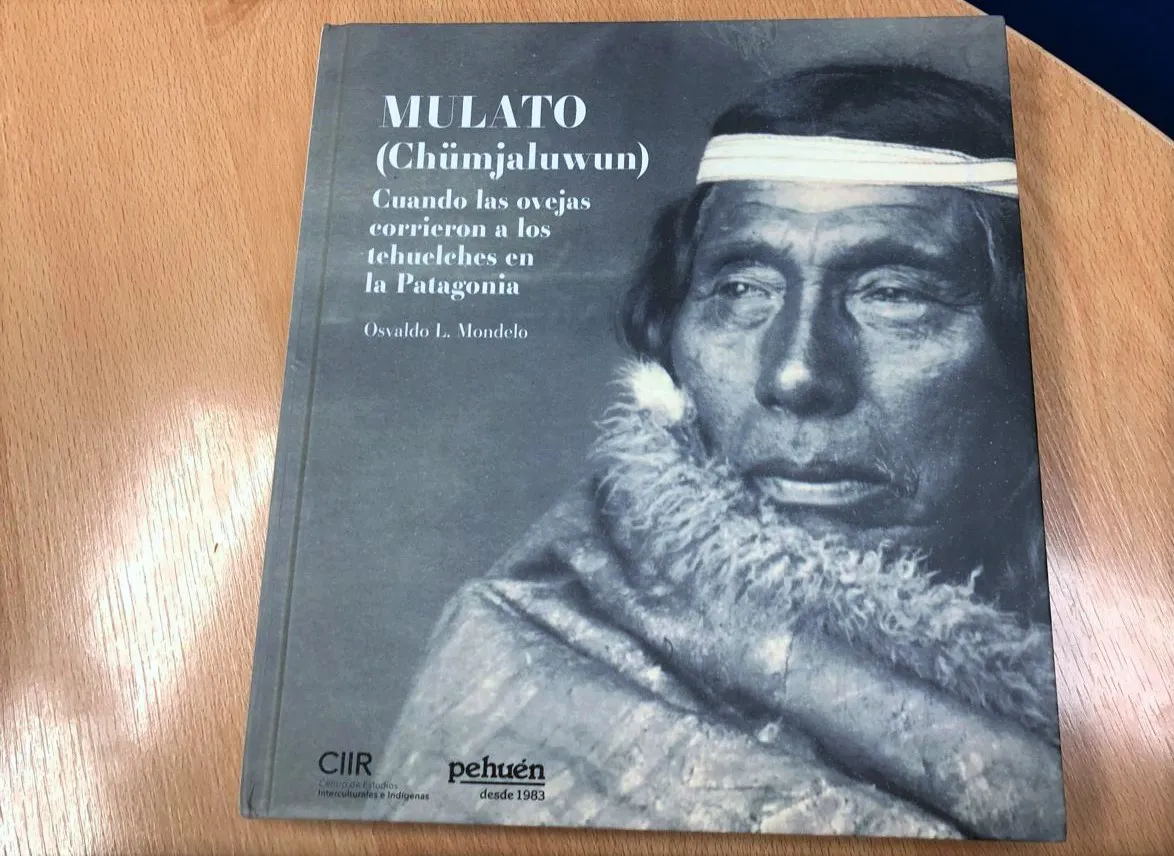 WhatsApp Image 2025-02-21 at 12.41.54(1)