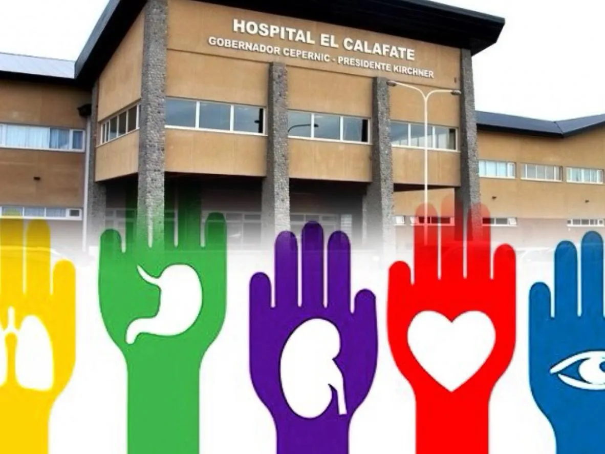 WhatsApp Image 2025-12-30 at 20.06.21