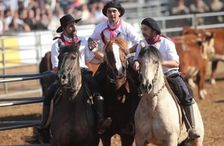 Imagen de WhatsApp 2025-03-02 a las 16.38.22_a2704ab2