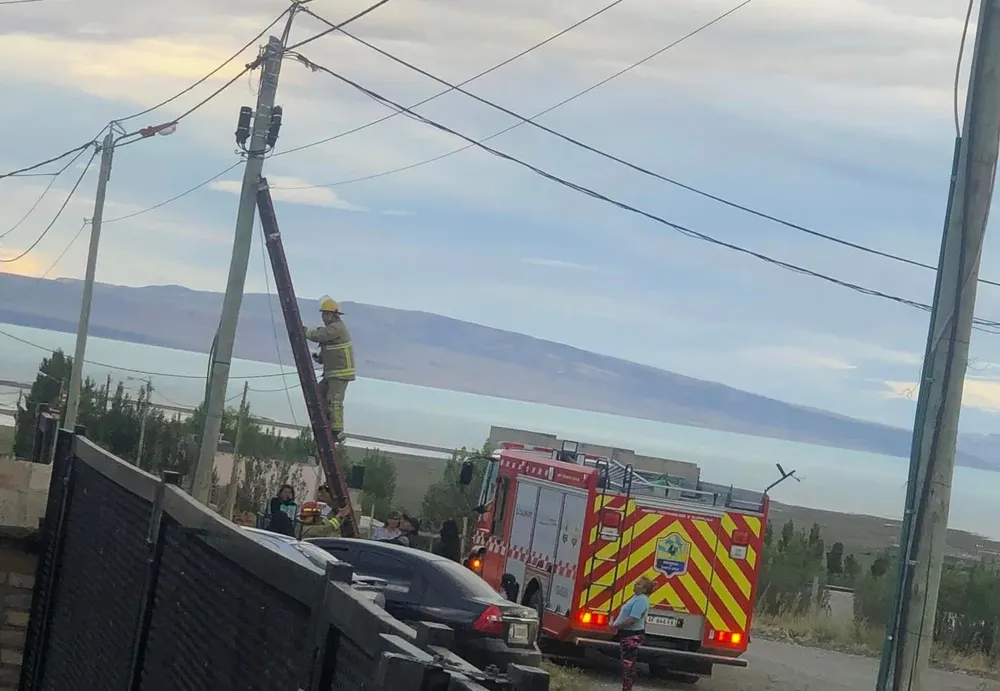 bomberos rescatan gato