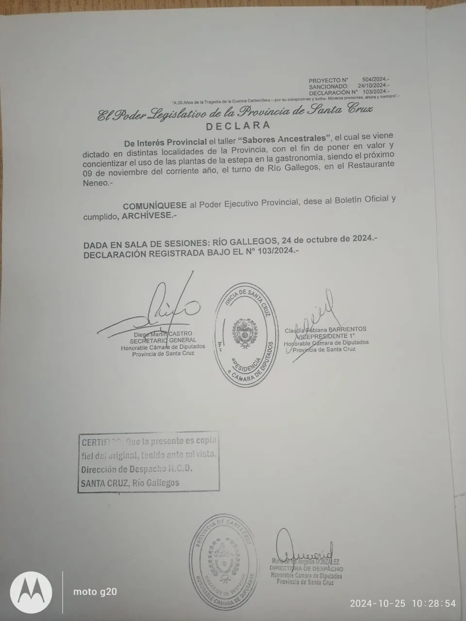 WhatsApp Image 2024-10-30 at 17.59.23