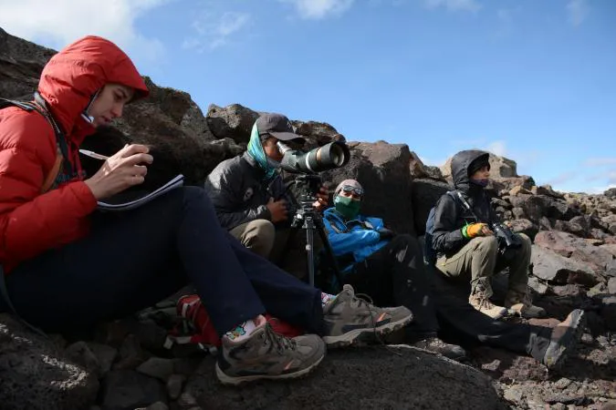 voluntarios maca tobiano